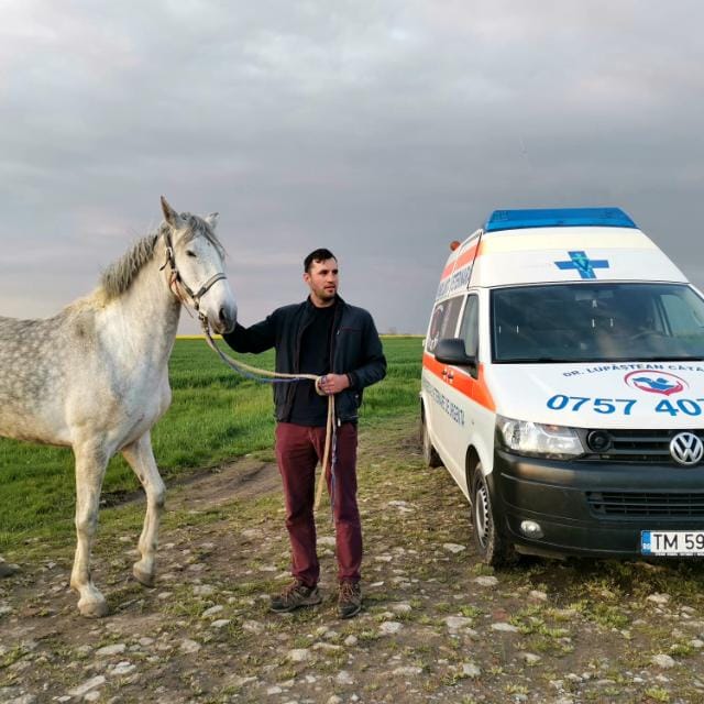 Dr. Lupastean Catalin Medic Veterinar