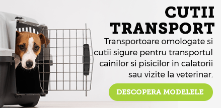 Cutii, transportoare si custi de transport omologate pentru caini si pisici