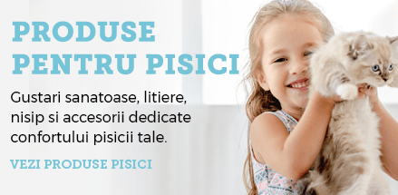 Produse, hrana si accesorii pentru pisici petRasfat