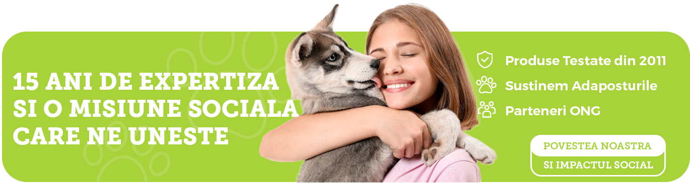 Despre petRasfat - Povestea noastra, brandul petRO si donatii pentru adaposturi