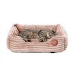 pisica-relaxata-in-patut-coral-bej
