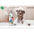 sampon-premium-jk-blana-alba-in-actiune-baie-cada