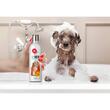 igiena-baie-catel-puppy-sampon-premium-jk