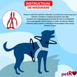 Instructiuni masurare ham step-in petRO