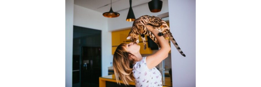 Ghidul Complet de Ingrijire a Pisicii: Tot ce trebuie sa stii pentru o felina sanatoasa si fericita