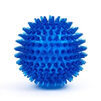 Jucarie Minge Mare TPR cu Tepi (8cm) - Plutitoare si Rezistenta din Cauciuc Elastic pentru Caini de Talie Medie si Mare · 