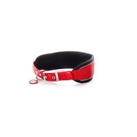 Zgarda caini JK Nylon Comfort, Captuseala Neopren, S-XL, Reflectorizanta – Rosu, Marimi · 