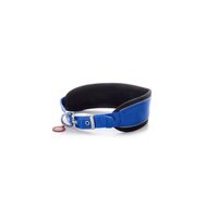 Zgarda caini JK Nylon Comfort Albastra S-XL, Captuseala Neopren, Reflectorizanta · 