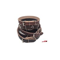 Zgarda Caini Piele Naturala Dublata Maro petRO (2.5 - 4cm) — Rezistenta Extrema si Confort pentru Caini Mari