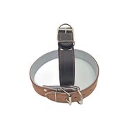 Zgarda caini petRO Piele Maro Dublata cu Inel Frontal 4 cm – Editia Heritage Control · 