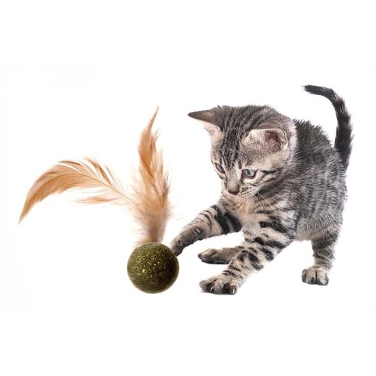 Set 12 Jucarii pentru Pisici din Catnip Presat (Iarba Matei) cu Pene Naturale JK: Stimulare Olfactiva, Instinct de Vanator si Pachet Economic · 