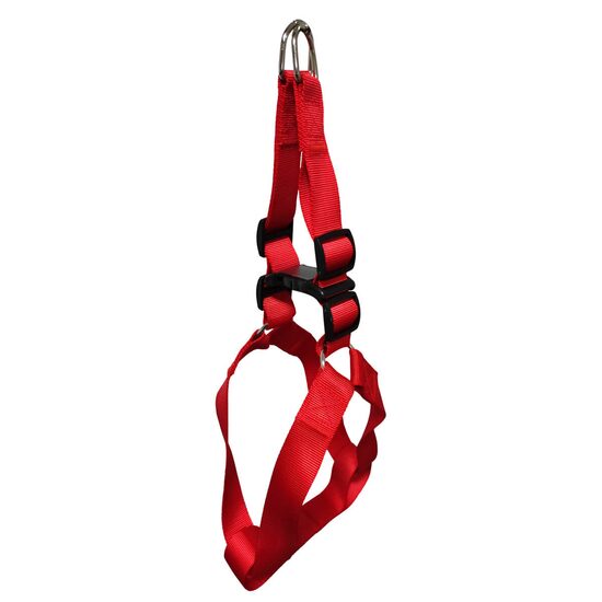 Ham Caini Step-In Rosu petRO XXL (4.0cm x 80-100cm) - Banda Ultra-Lata si Rezistenta Gigant pentru Cane Corso si Rase Masive